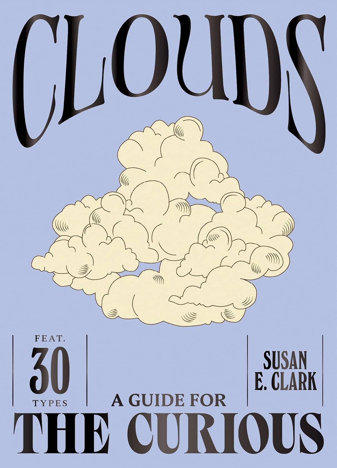 Guide for the Curious: Clouds