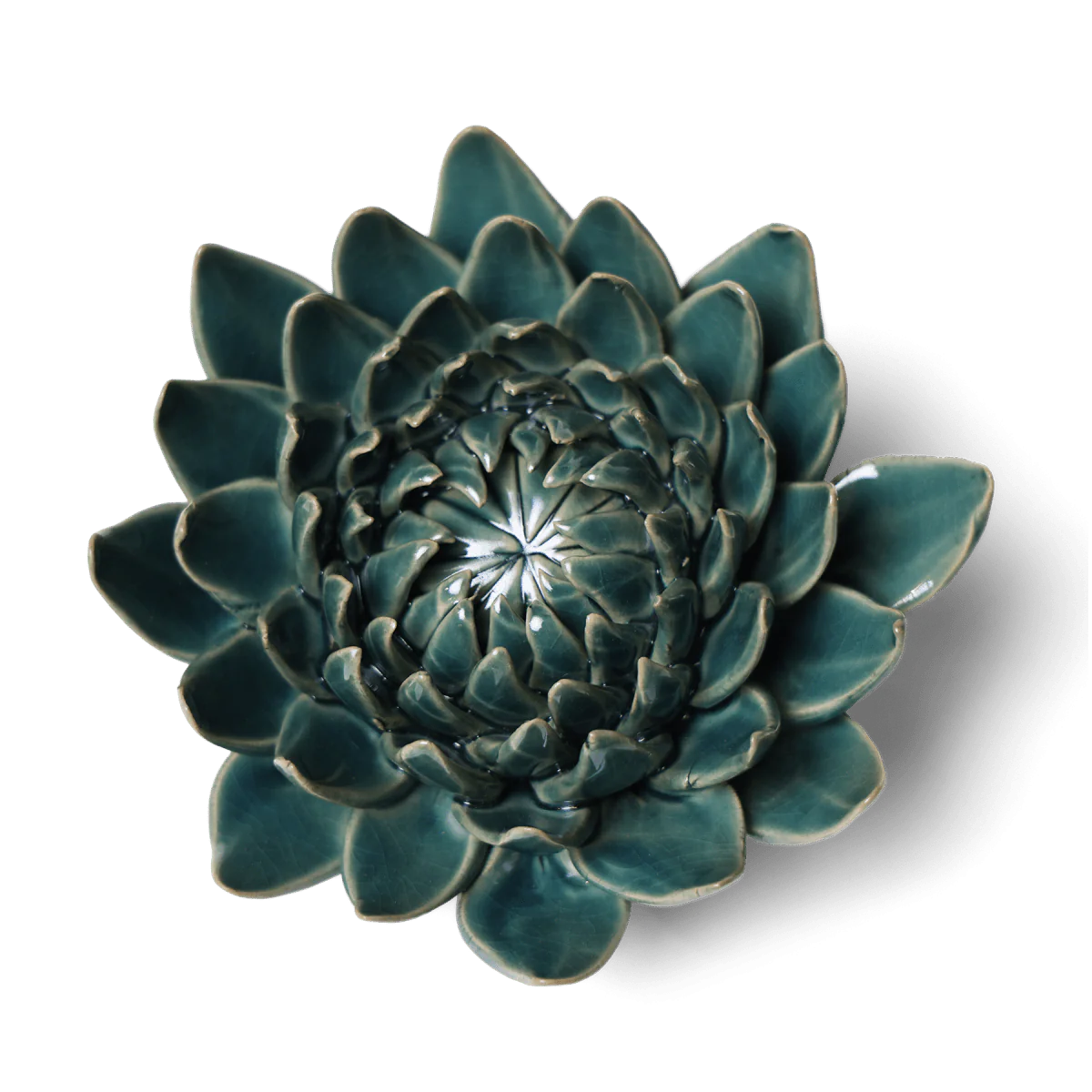 Teal Dahlia