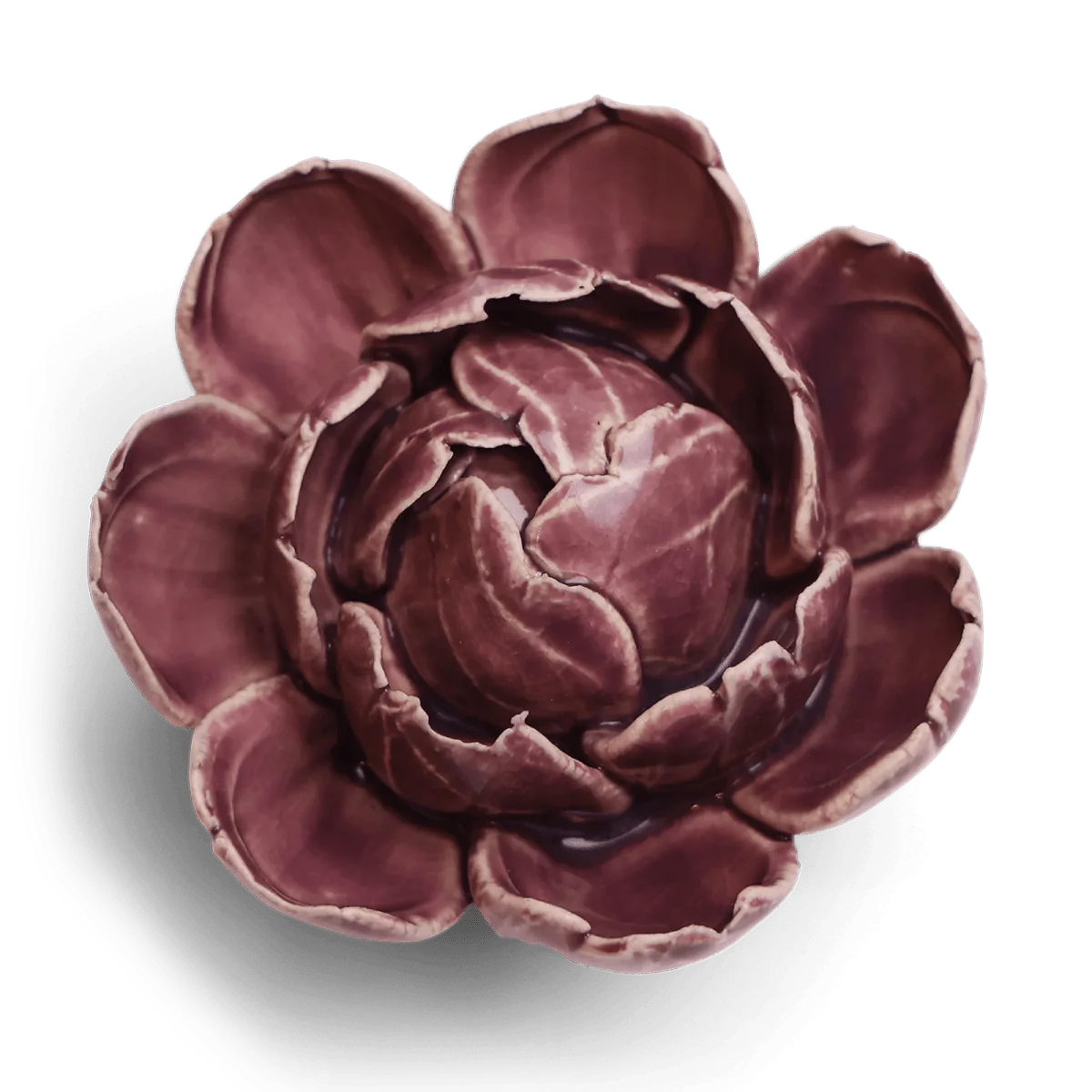 Purple Peony