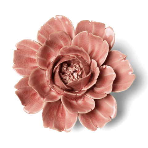 Pink Rose
