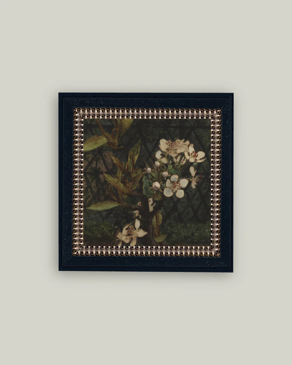 Apple Blossom Framed Art