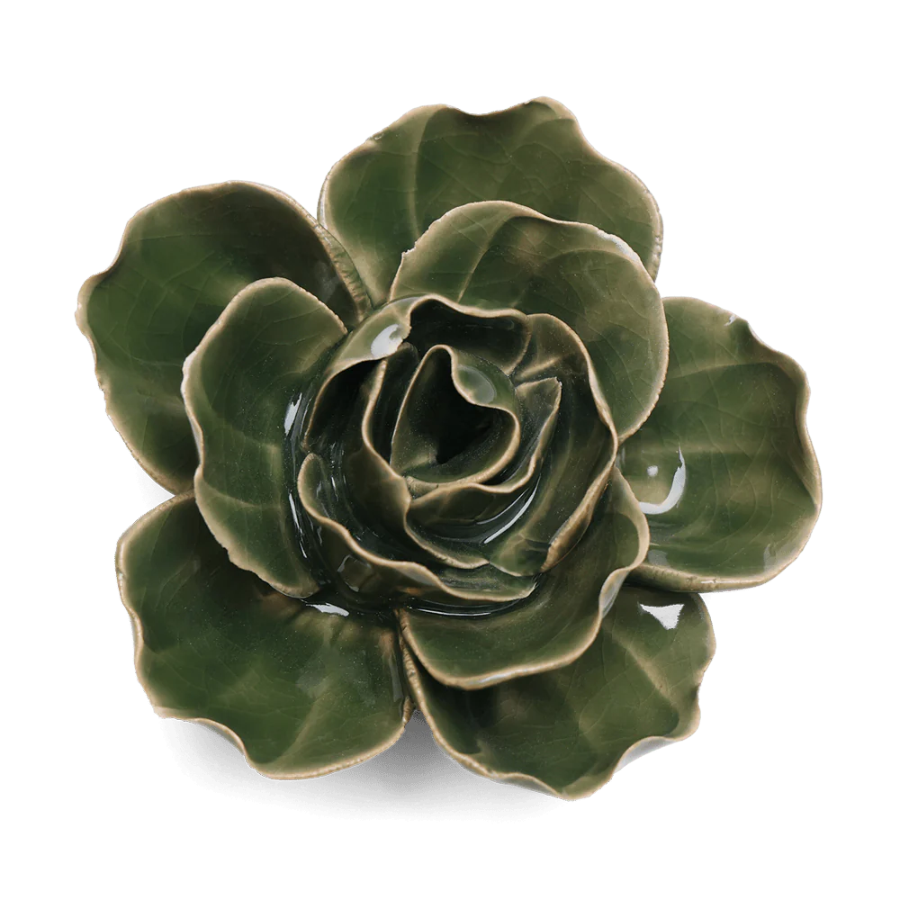 Green Ranunculus