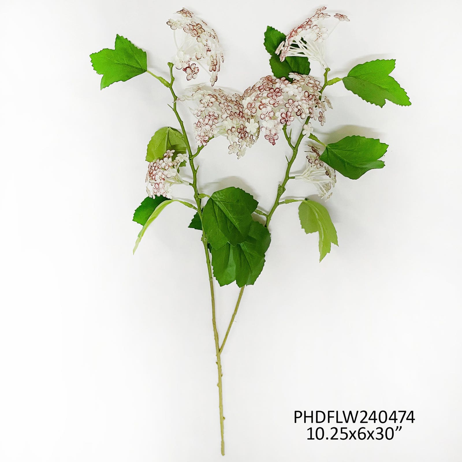 Woodland Viburnum Berry