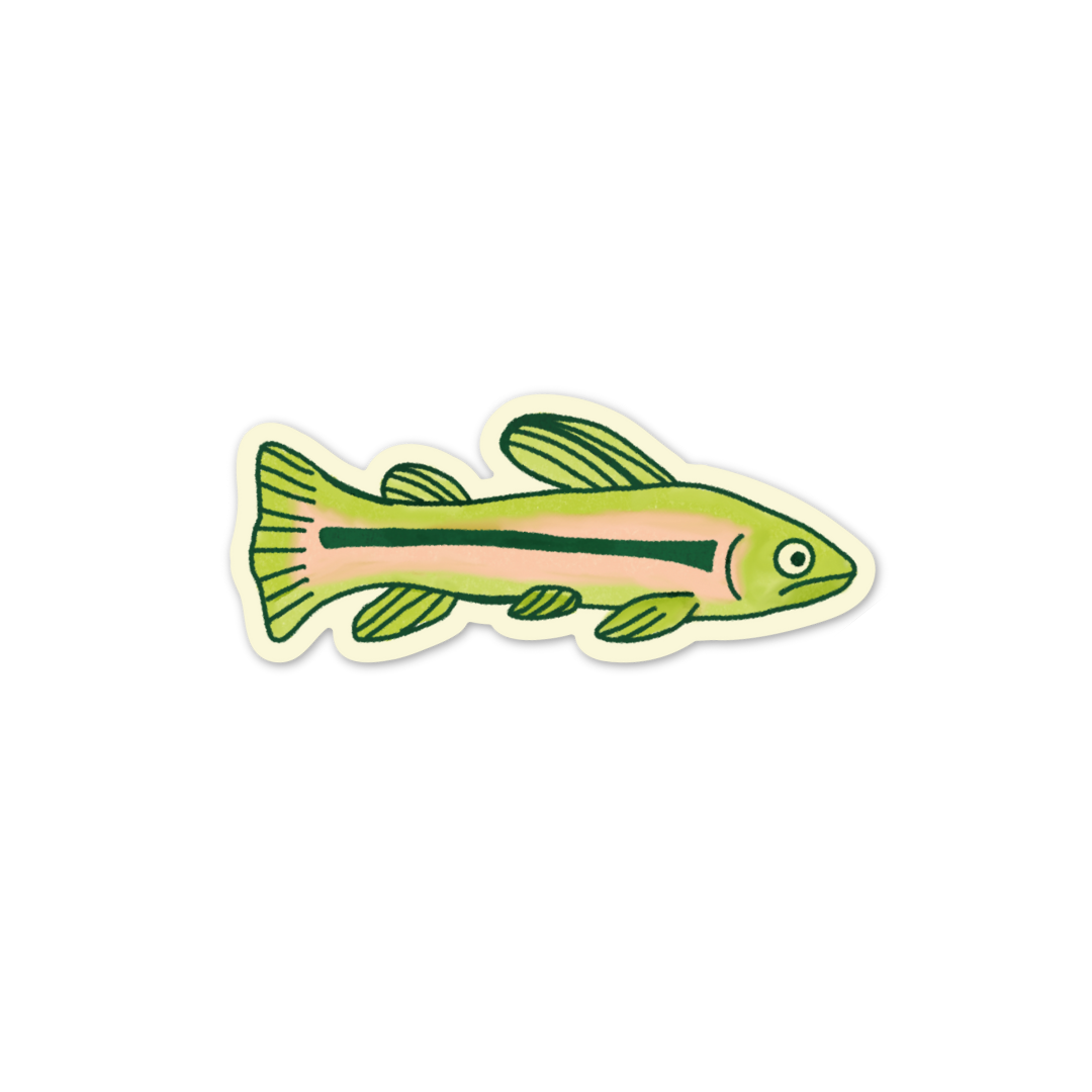 Rainbow Trout Sticker