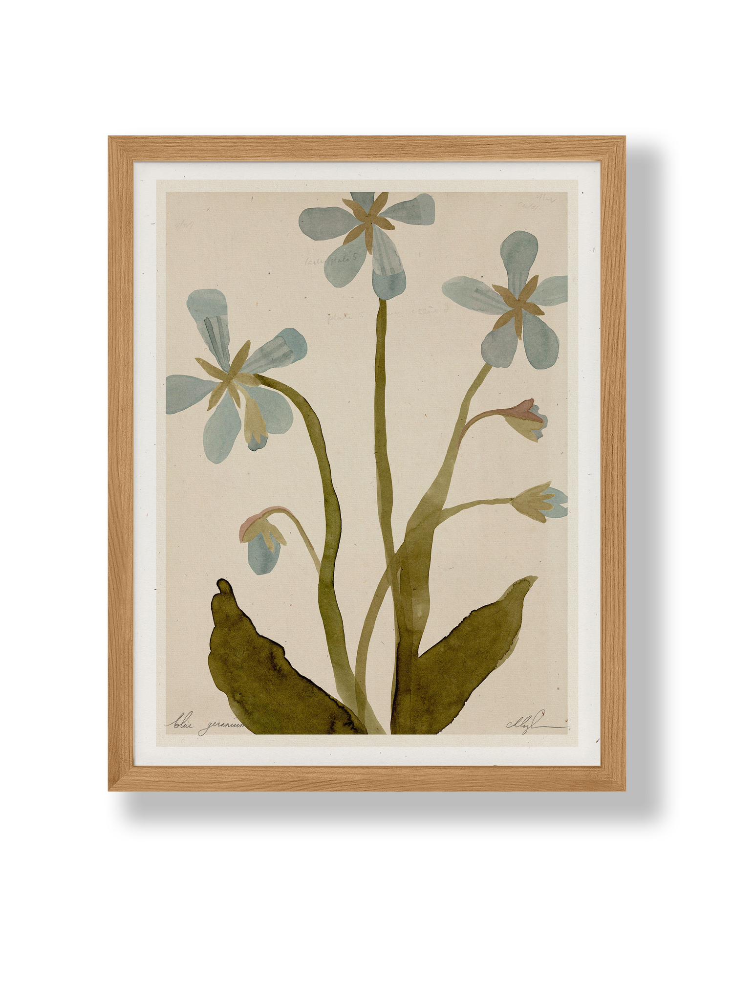 Blue Geranium Print
