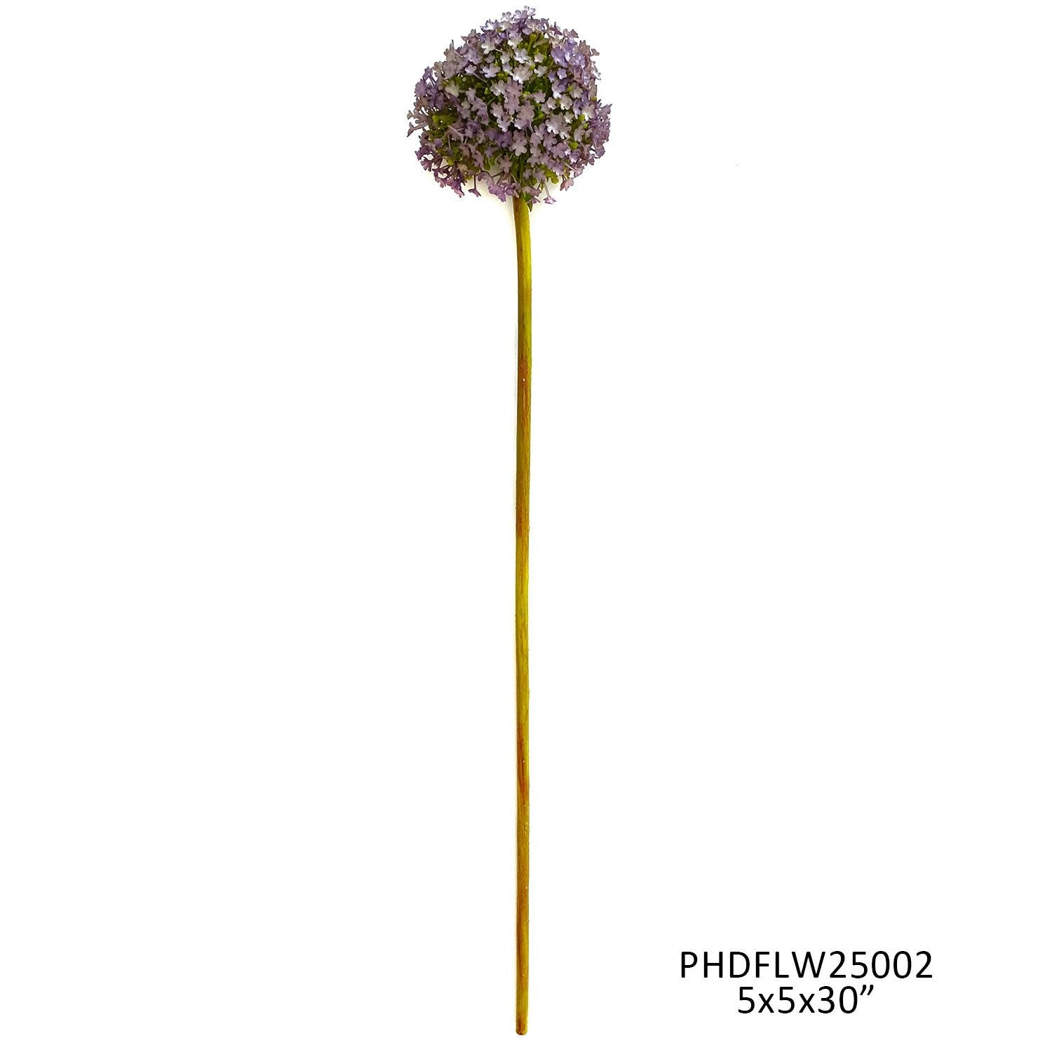 Giant Allium Stem Lavender