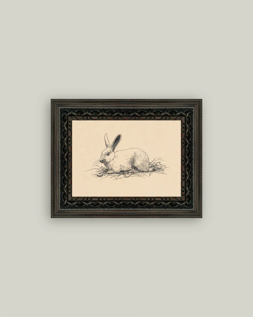 Bunny Sketch Framed Art
