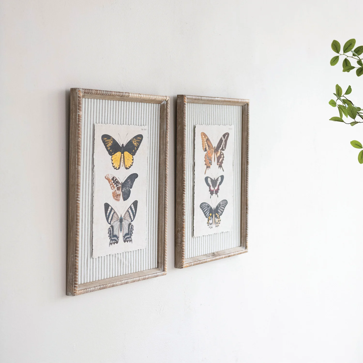 Butterfly Framed Art